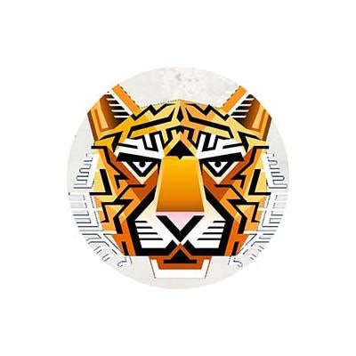 Jungle & Safari Party Supplies & Decorations