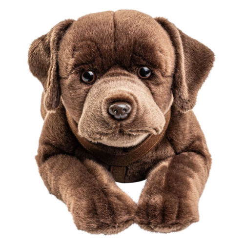 Rocco Chocolate Labrador Puppy Dog Teddy Bear - Soft Toy