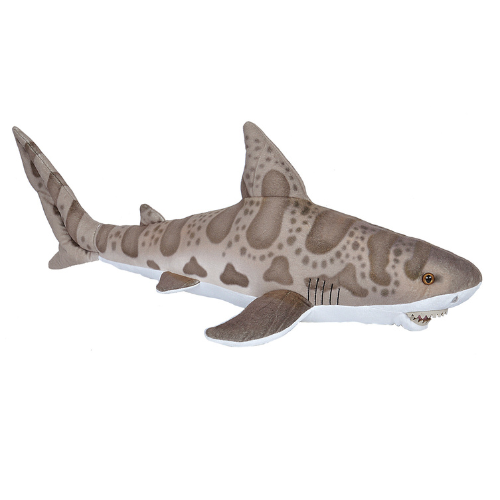 Leopard Shark Soft Toy Teddy