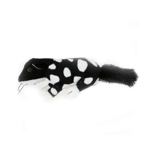 Australian Animals Mini Eastern Black Quoll Teddy - Soft Toy